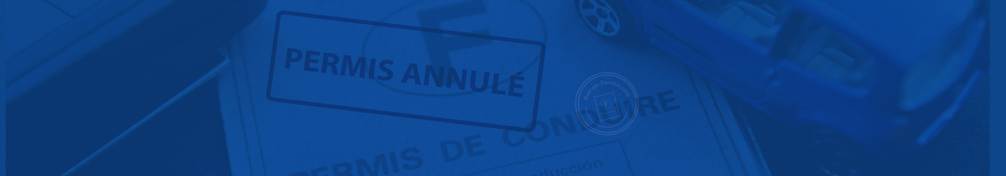Invalidation ou annulation permis de conduire : recours et solutions